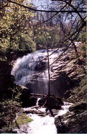 Crab Tree Falls pix 1